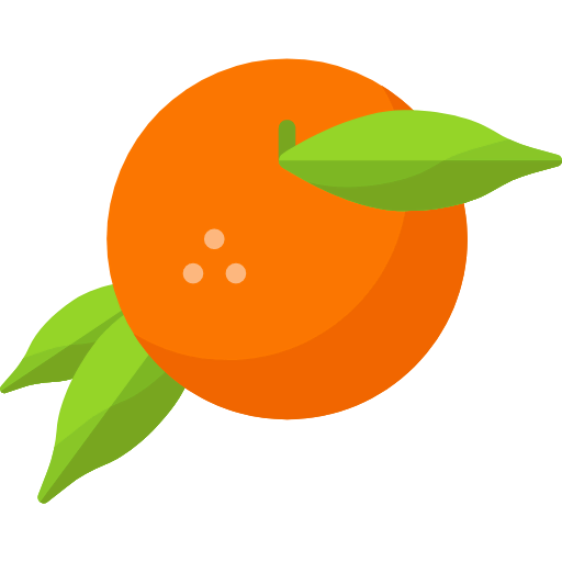 Orange icon