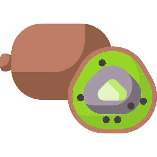 Kiwi icon