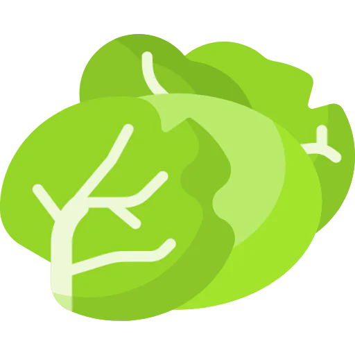 Cabbage icon