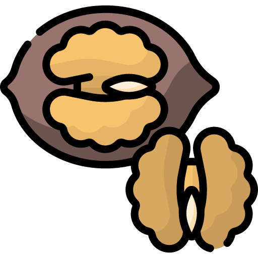 Walnut icon