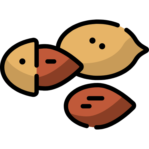 Almonds icon