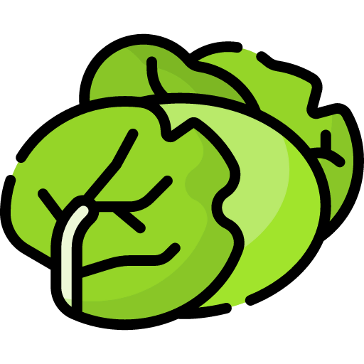 Cabbage icon