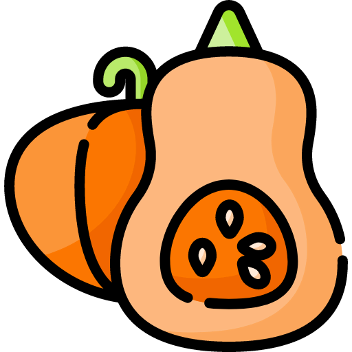 Pumpkin icon