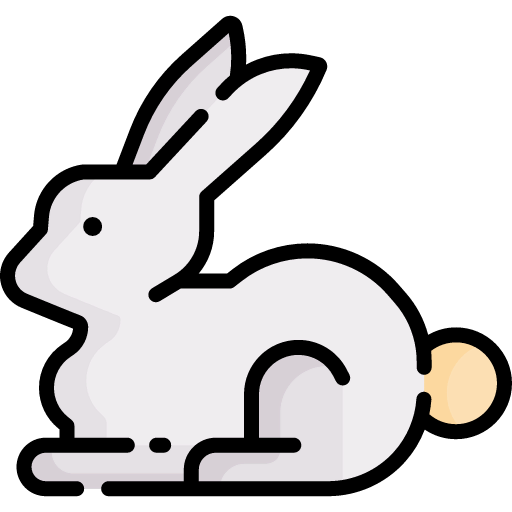 Rabbit icon