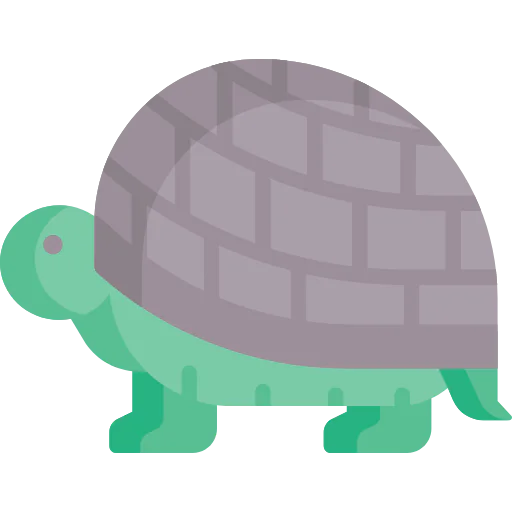 Turtle icon