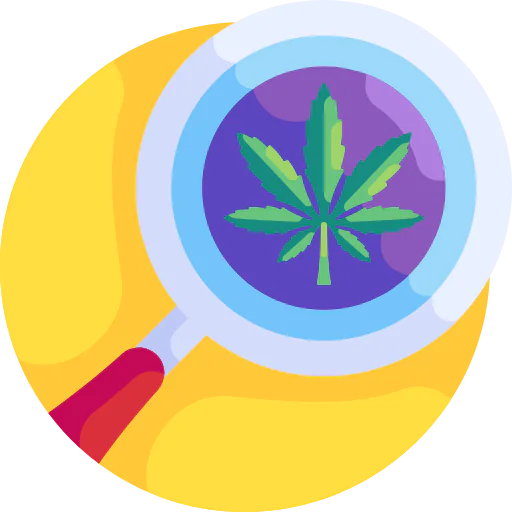 Research icon