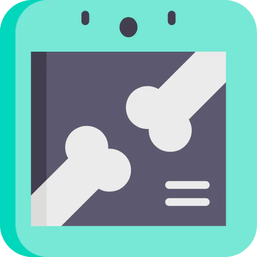 X ray icon