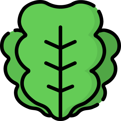 Lettuce icon