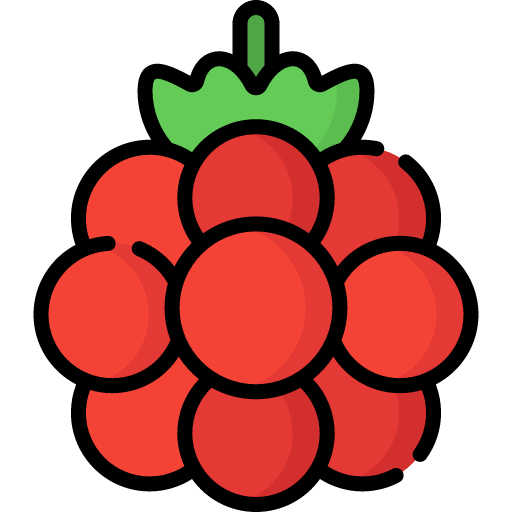 Raspberry icône