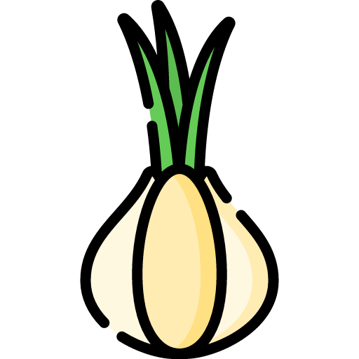 Onion icon