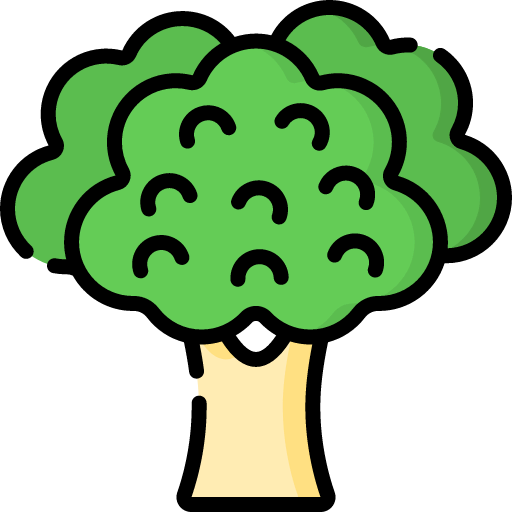 Broccoli icon