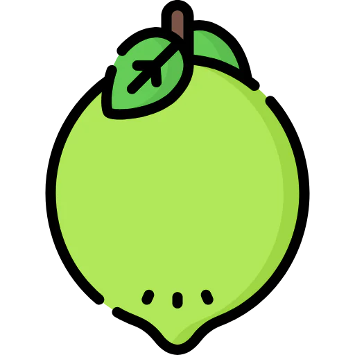 Lime icon