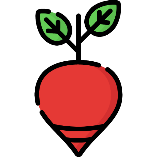 Beetroot icon