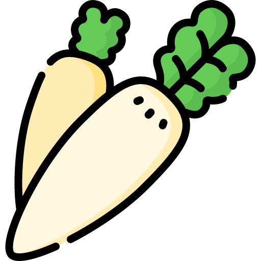 Radish icon