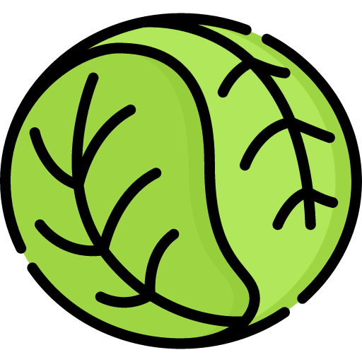 Cabbage icon