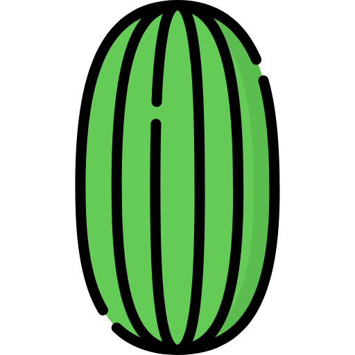 Watermelon icon