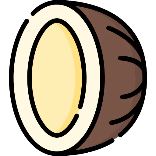 Coconut icon