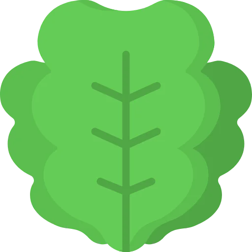 Lettuce icon