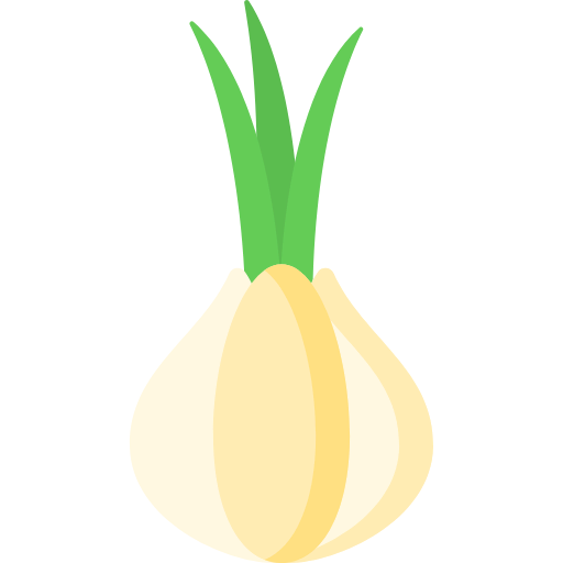 Onion icon