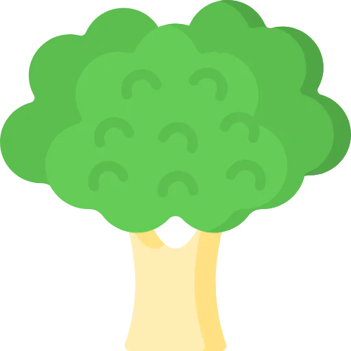 Broccoli icon