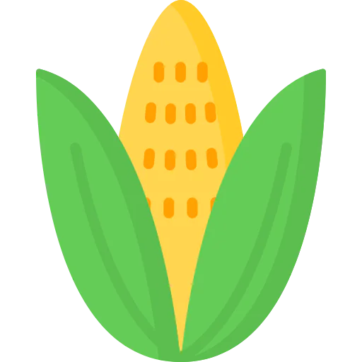 Corn icon