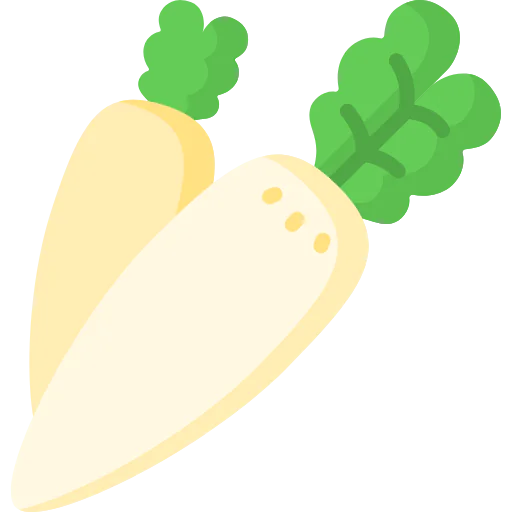 Radish icon