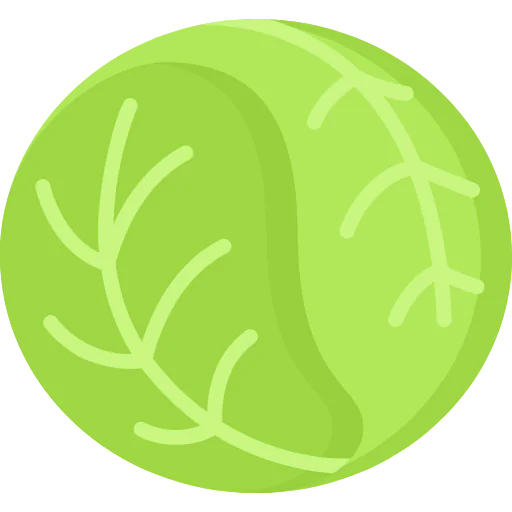 Cabbage icon