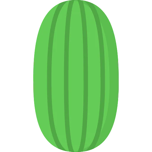 Watermelon icon