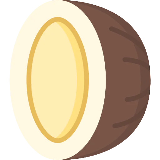 Coconut icon