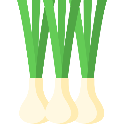 Spring onion 图标