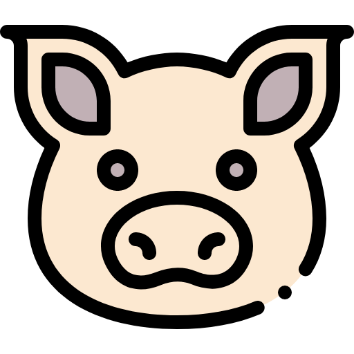 Pig icon