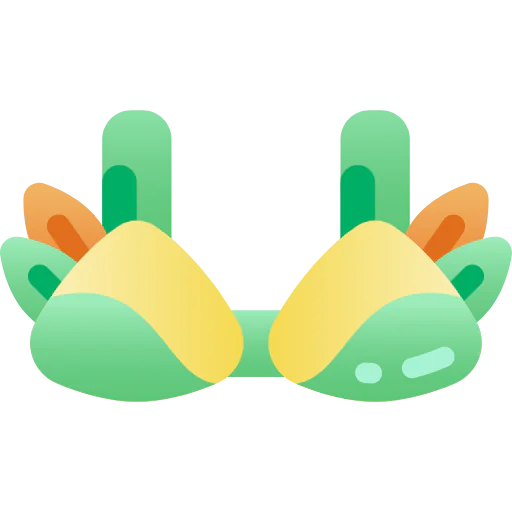 Bra icon