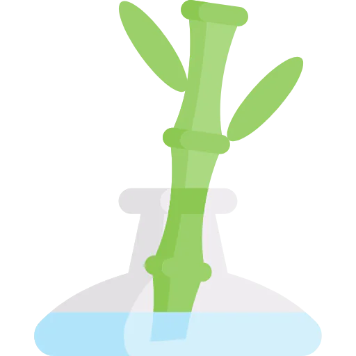 Bamboo icon