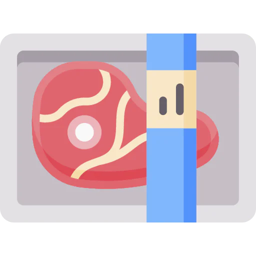 Meat icon