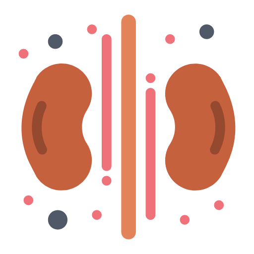 Kidneys icon