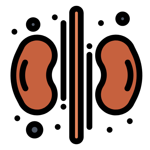 Kidneys icon