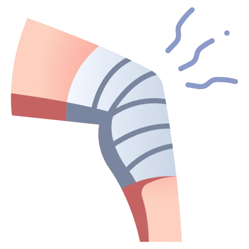 Knee icon