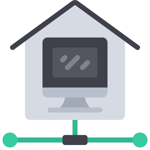 Local network icon