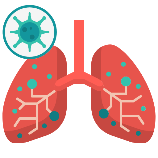 Lung icon