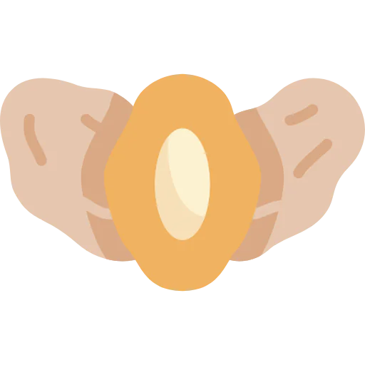 Dates icon
