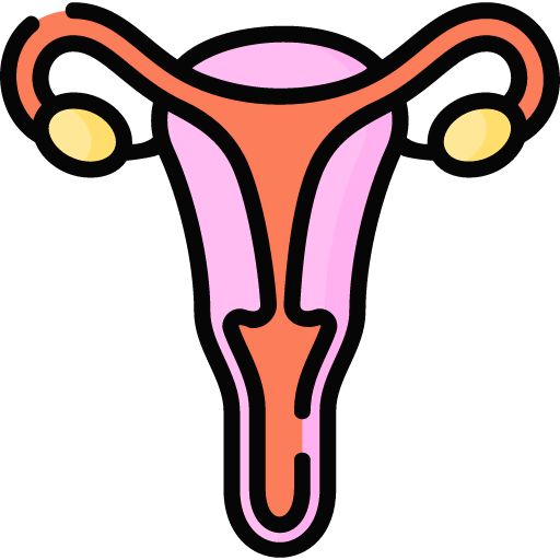 Fallopian tubes Ikona