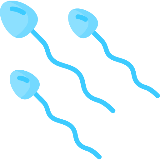 Sperm icon