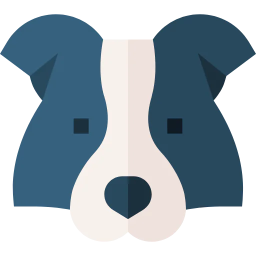 Border collie 图标