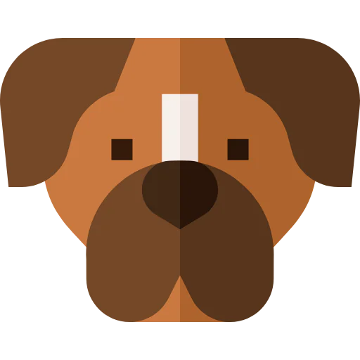 Boxer icon