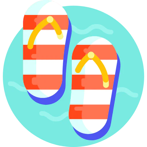 Flip flops icon