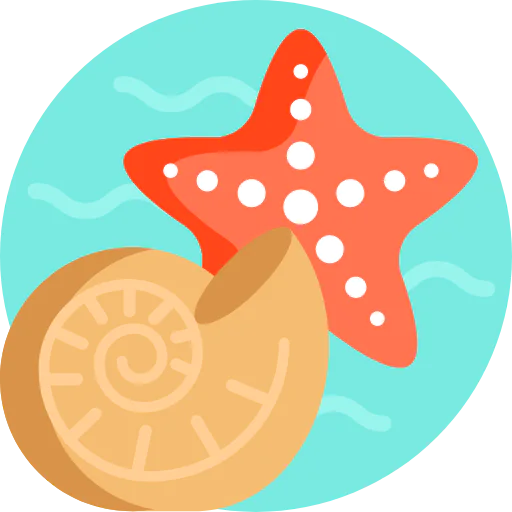 Starfish icon