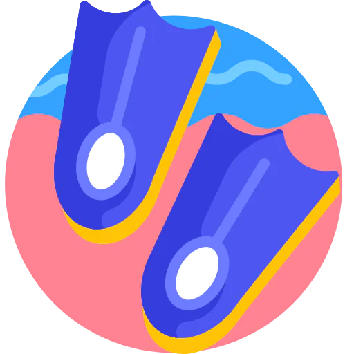 Flippers icon